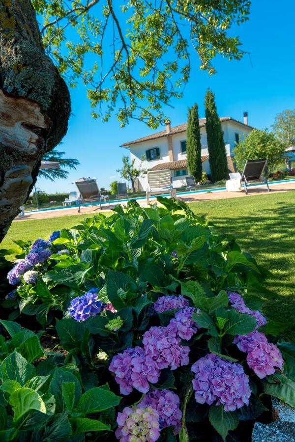 Il Raggio Di Sole Villa Bagnoregio Buitenkant foto