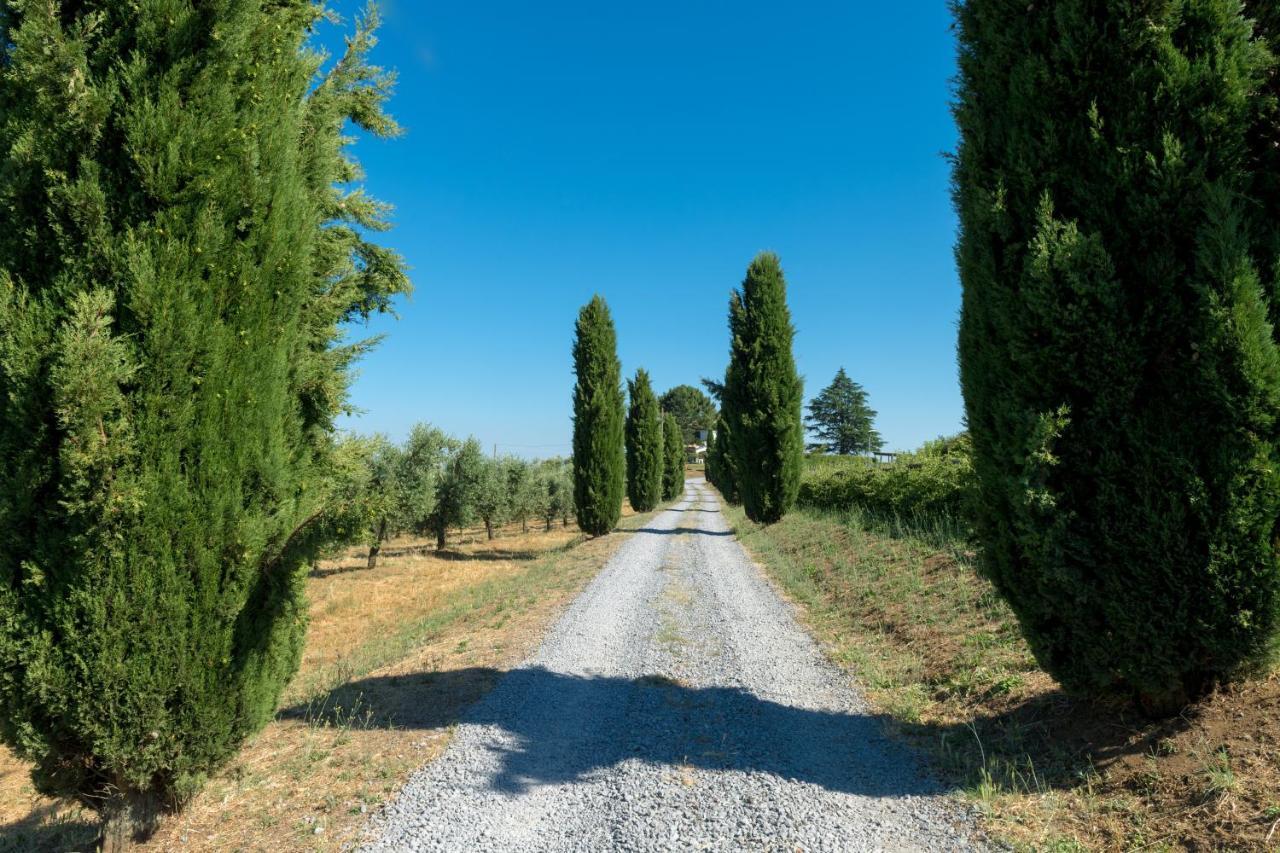 Il Raggio Di Sole Villa Bagnoregio Buitenkant foto